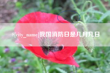 启东我国消防日是几月几日