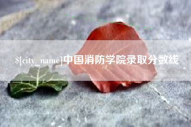 启东中国消防学院录取分数线
