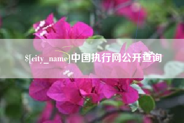 启东中国执行网公开查询
