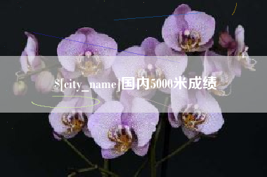 启东国内5000米成绩