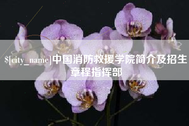启东中国消防救援学院简介及招生章程指挥部