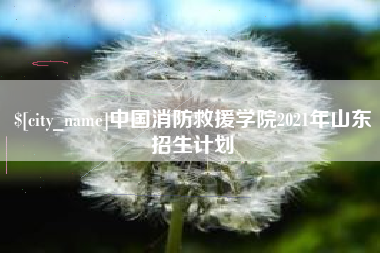 启东中国消防救援学院2021年山东招生计划