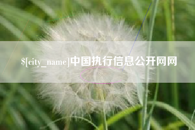 启东中国执行信息公开网网