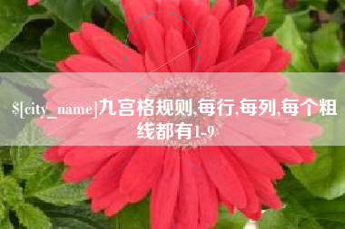 启东九宫格规则,每行,每列,每个粗线都有1-9