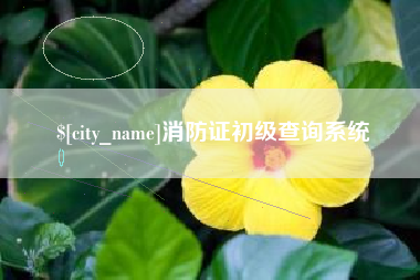 启东消防证初级查询系统