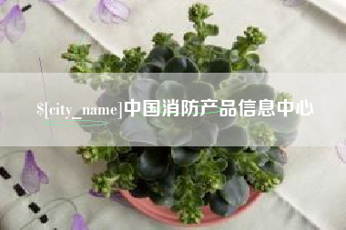 启东中国消防产品信息中心