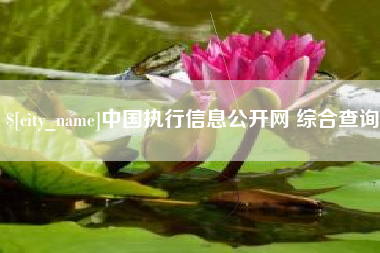 启东中国执行信息公开网 综合查询