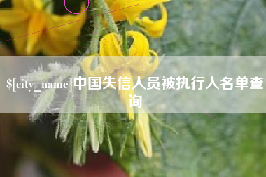 启东中国失信人员被执行人名单查询