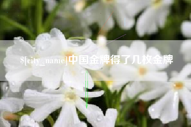 启东中国金牌得了几枚金牌