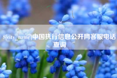 启东中国执行信息公开网客服电话查询