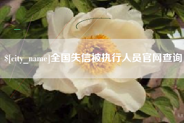 启东全国失信被执行人员官网查询