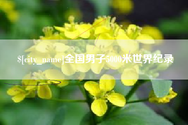 启东全国男子5000米世界纪录