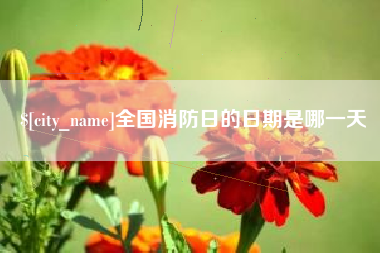 启东全国消防日的日期是哪一天
