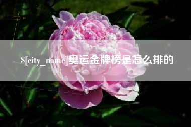 启东奥运金牌榜是怎么排的