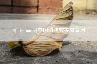 启东中国消防救援教育网