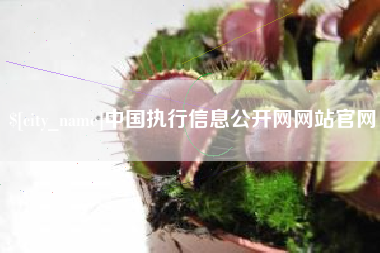 启东中国执行信息公开网网站官网