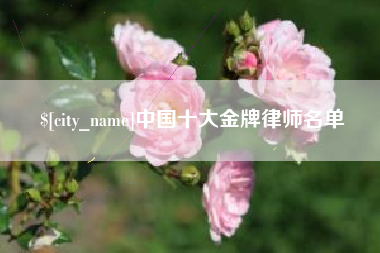 启东中国十大金牌律师名单