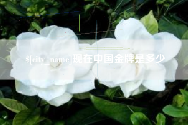 启东现在中国金牌是多少