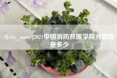 启东2021中国消防救援学院分数线是多少