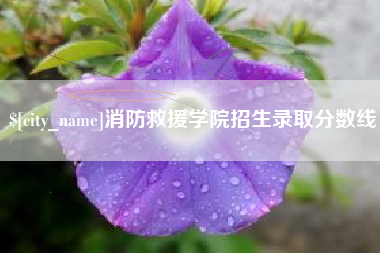 启东消防救援学院招生录取分数线