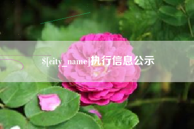 启东执行信息公示