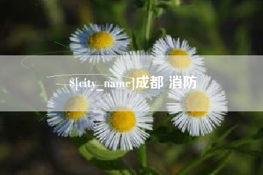 启东成都 消防