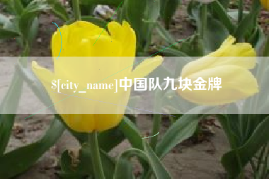 启东中国队九块金牌