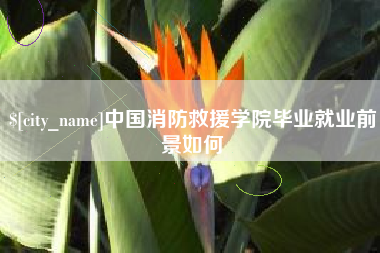 启东中国消防救援学院毕业就业前景如何