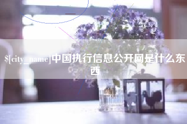 启东中国执行信息公开网是什么东西
