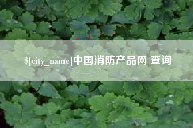 启东中国消防产品网 查询