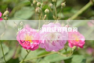 启东消控证官网查询