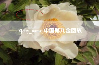 启东中国第九金回放