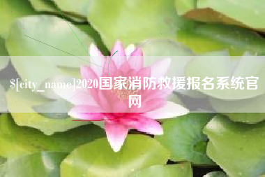 启东2020国家消防救援报名系统官网