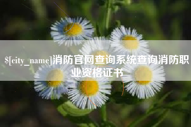 启东消防官网查询系统查询消防职业资格证书