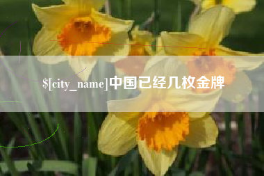 启东中国已经几枚金牌