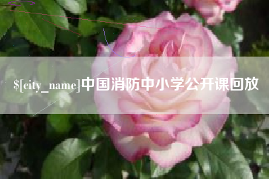 启东中国消防中小学公开课回放