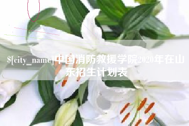 启东中国消防救援学院2020年在山东招生计划表