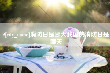 启东消防日是哪天我国的消防日是哪天