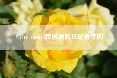 启东我国消防日是每年的