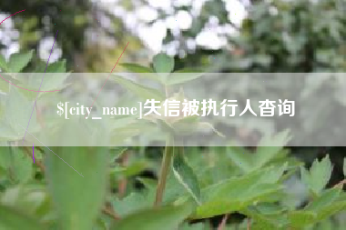 启东失信被执行人杳询