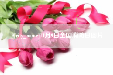 启东11月9日全国消防日图片