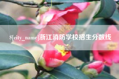 启东浙江消防学校招生分数线