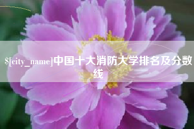 启东中国十大消防大学排名及分数线