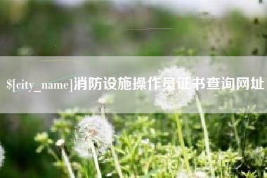 启东消防设施操作员证书查询网址