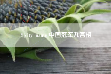 启东中国冠军九宫格