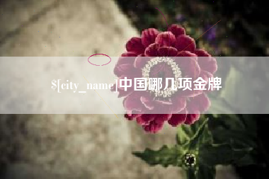 启东中国哪几项金牌