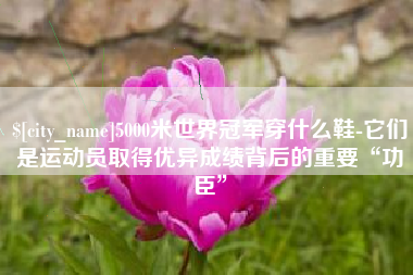 启东5000米世界冠军穿什么鞋-它们是运动员取得优异成绩背后的重要“功臣”