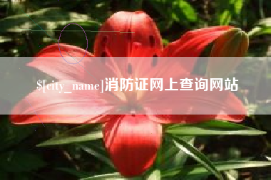 启东消防证网上查询网站