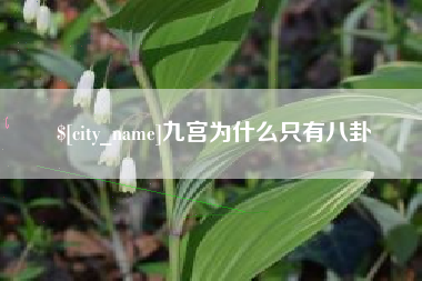 启东九宫为什么只有八卦