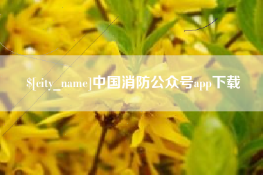 启东中国消防公众号app下载